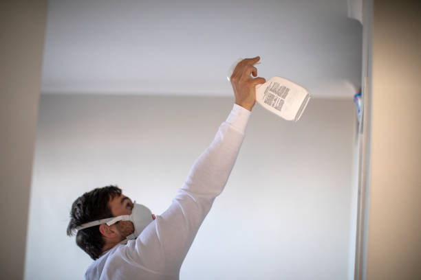 Best Crawl Space Mold Removal  in Park Rapids, MN
